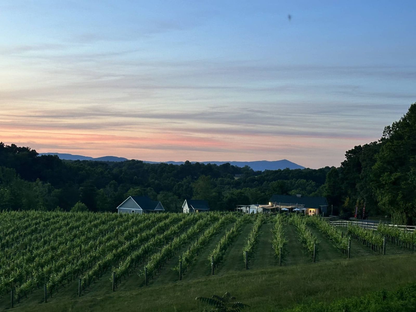 Sunset over the vineyard